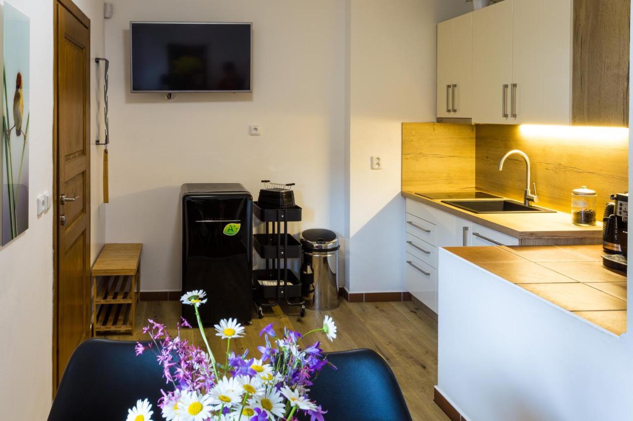 Apartment Jensen Harrachov